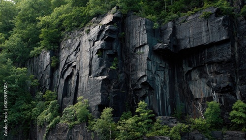 Dark, craggy rock face in a lush forest setting
