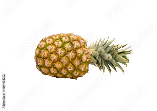 pineapple set isolated on white background
