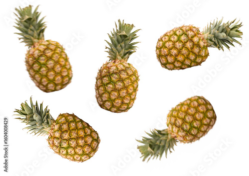 pineapple set isolated on white background
