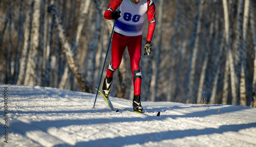 skier goes classic style in birch forest at ski racing competition