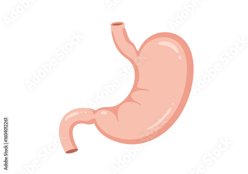 A light pink cartoon stomach with dark pink borders against a white background