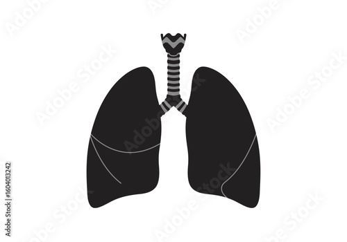Black lung illustration with visible trachea  bronchioles against white backdrop
