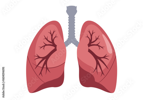 Red lung illustration with airway Pulmonary system anatomy