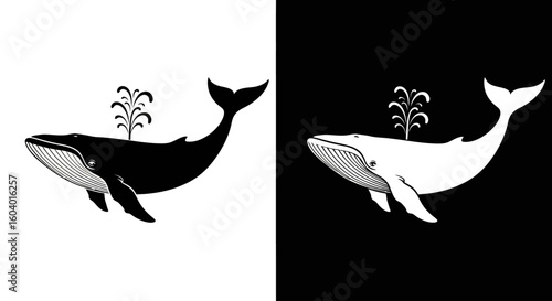 Stylized black and white whale illustrations, one dark on light and one light on dark, both spouting water.