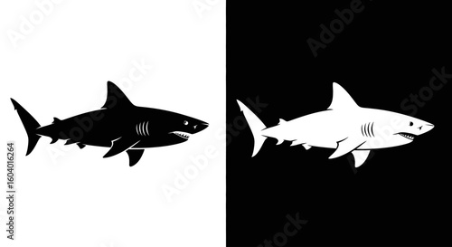 A graphic illustration of two sharks, one black and one white, against contrasting backgrounds.