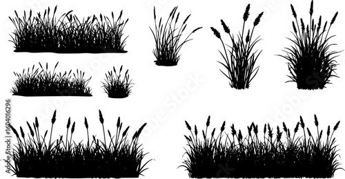 Vector silhouette of meadow on white background. Symbol of nature with grass. Transparent background PNG cutout.
