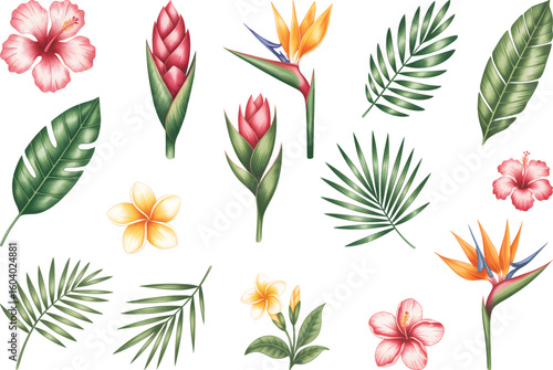 Tropical watercolor flowers and leaves with hibiscus and bird of paradise. Hand painted botanical exotic tropical blooms and palm leaves.