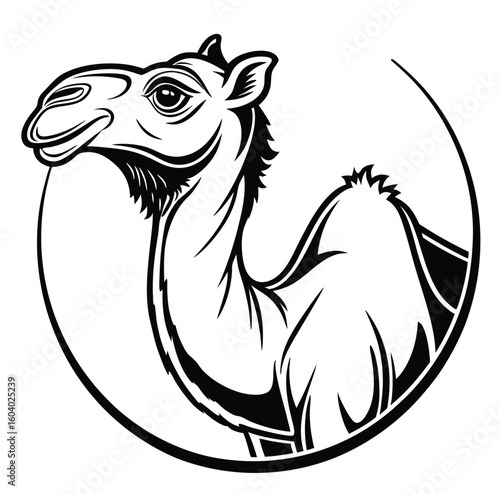 vector illustration of a cartoon horse