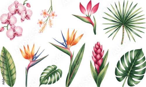 Tropical watercolor flowers and leaves with hibiscus and bird of paradise. Hand painted botanical exotic tropical blooms and palm leaves.