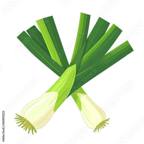 Two Bunches Of Fresh Leeks Isolated On White Background