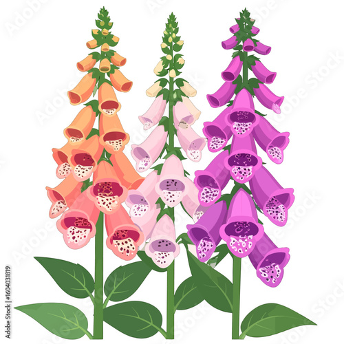 Three vibrant foxglove stalks in orange, pink, and purple with spotted bell-shaped blossoms.