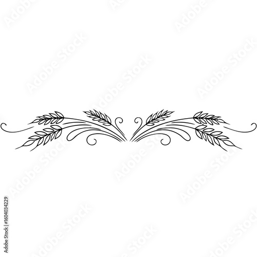 Hand-drawn wheat ears decorative page divider, black outline, elegant floral sketch design
