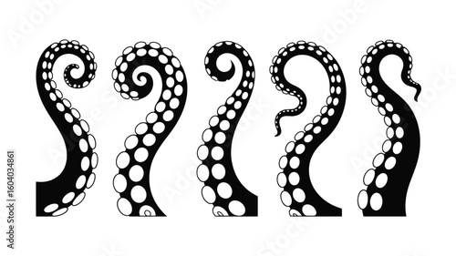 Three black and white octopus tentacles vector illustration on white