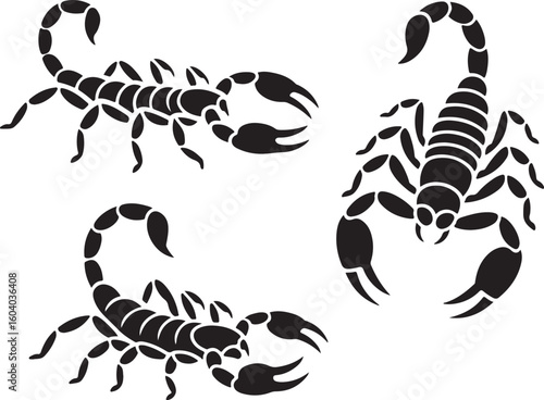 Scorpion Silhouette Vector Set – Crawling, Tail Curled, and Defensive Poses of Desert Arachnid