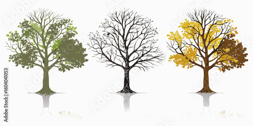 Seasons changing concept showcasing three trees in spring, winter, and autumn offering a vibrant look at nature's beauty and cyclical changes