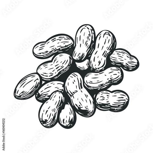Sketch of peanuts in monochrome with detailed texture