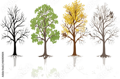 Stunning seasonal tree transformation showcasing spring, summer, autumn, and winter, ideal for nature themed projects and educational materials