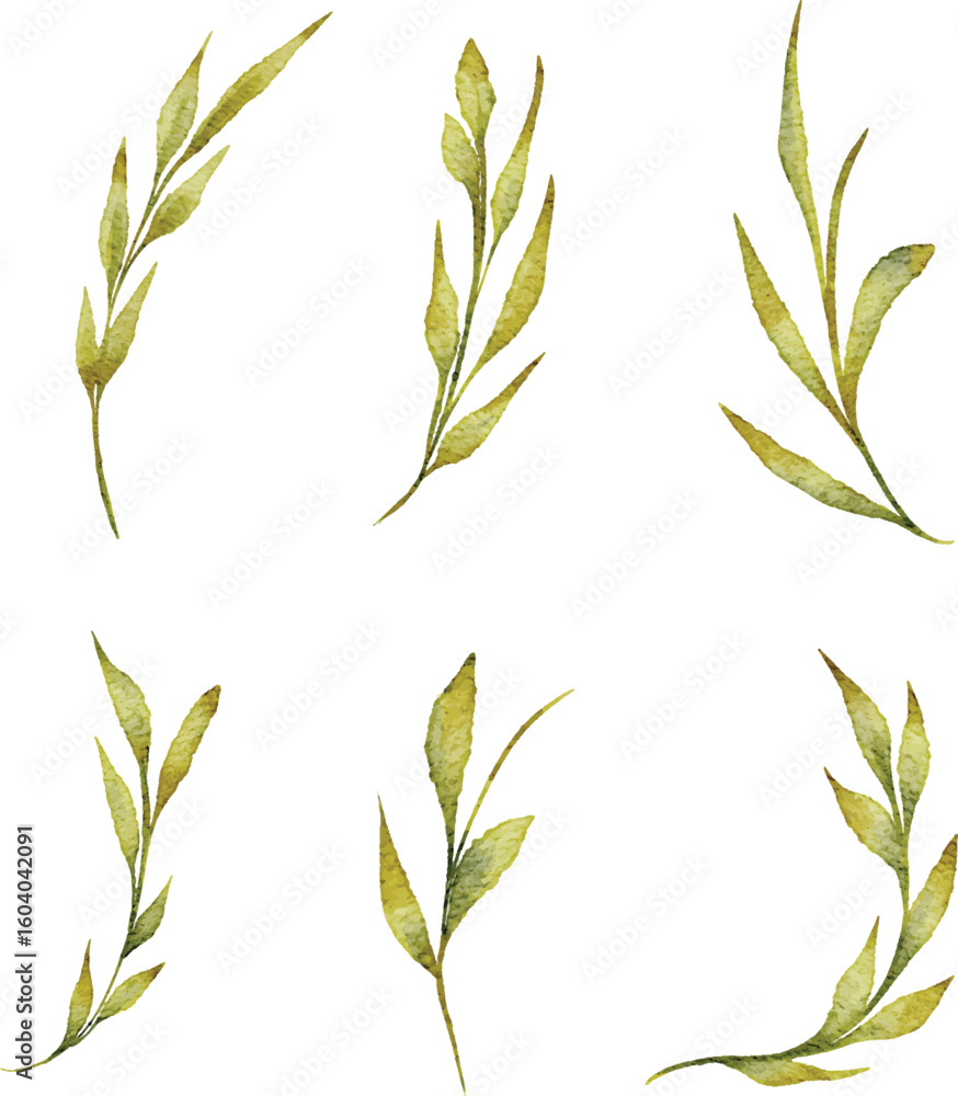 Naklejka premium Watercolor Sprigs Set: Delicate Botanical Accents