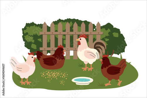 Flat illustration of chickens and a rooster in a green farmyard with a fence, bushes, feed, and water bowl. Simple cartoon style, ideal for children books, farming themes, and educational materials