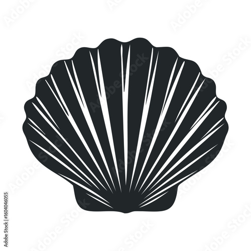 Black and white scallop shell illustration