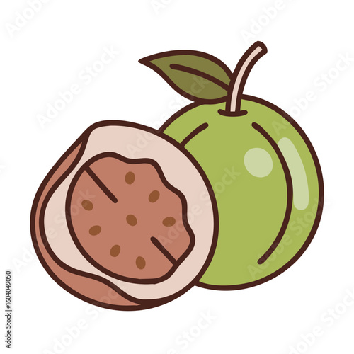 Guava Fruit Illustration with Cut Section, Showcasing the Pulp and Seeds Inside