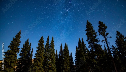 Silhouetted pines against a night sky filled with stars and the Milky Way