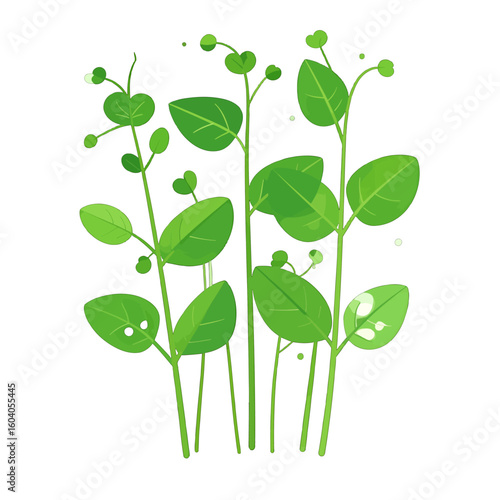 Group Of Decorative Green Plants On White Background