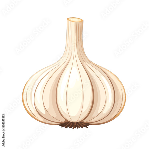 Stylized illustration of a whole garlic bulb with papery skin, visible cloves, a trimmed stem, and roots.