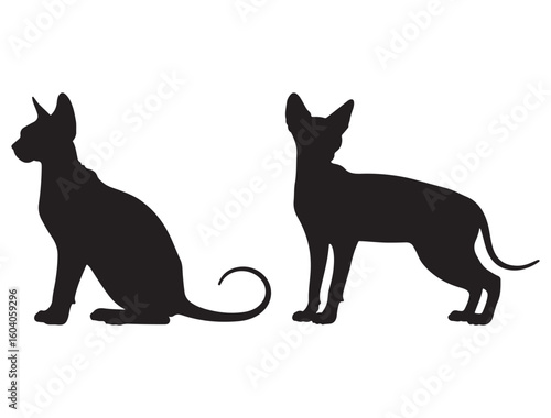 SPHYNX SILHOUETTE