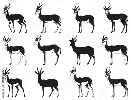 SPRINGBOK ANTELOPE SILHOUETTE.