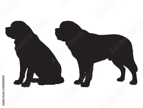 ST. BERNARD DOG SILHOUETTE