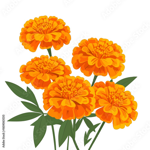 Vibrant bouquet of five orange marigold flowers with green leaves, vector illustration.