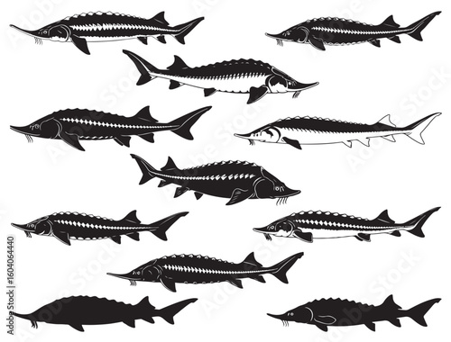 STURGEON FISH SILHOUETTE