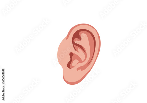 Illustration of a human ear with pink and darker pink shades against a white background