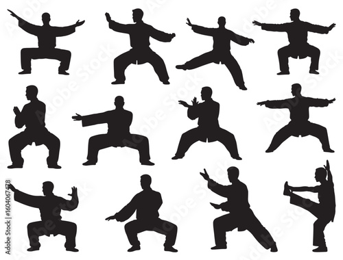 TAI CHI SILHOUETTE