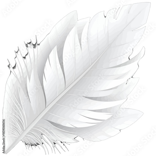 Stylized white bird feather illustration with detailed barbs and gentle grey shading.