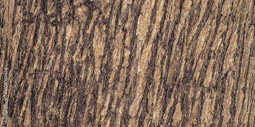 Texture of junipers Virginian bark old juniper tree skin