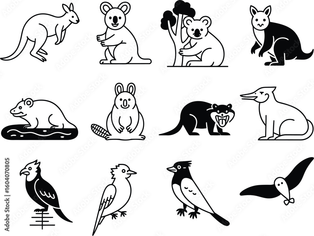 Fototapeta premium Collection of australian wildlife animals and birds hand drawn sketch style