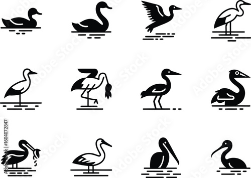 Collection of stylized bird silhouettes on water