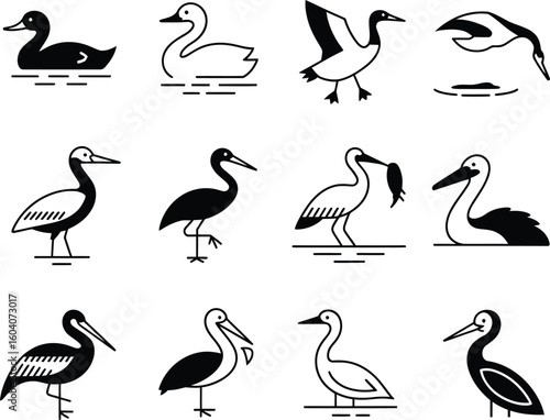Collection of diverse waterfowl and wading birds in stylized silhouette