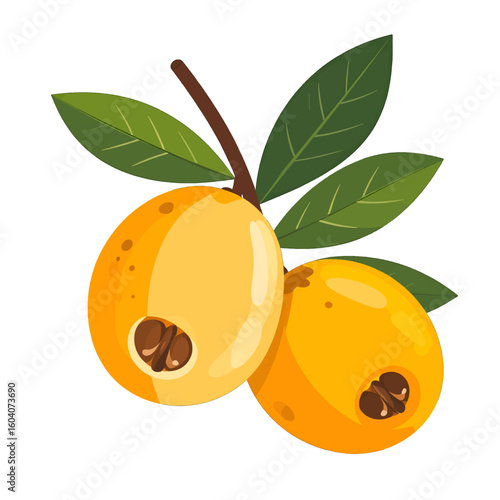 Ripe yellow loquat fruits on a branch with green leaves, one cut open to show seeds.