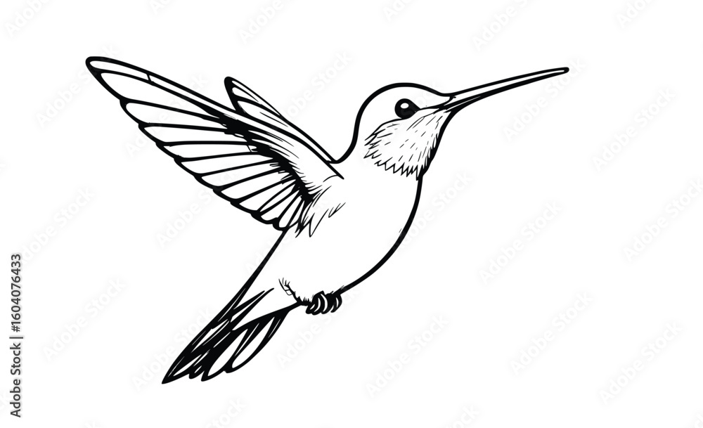 Fototapeta premium Elegant Minimalist Line Art of a Flying Hummingbird in Black and White