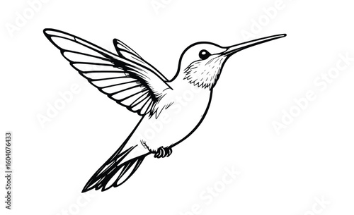 Elegant Minimalist Line Art of a Flying Hummingbird in Black and White