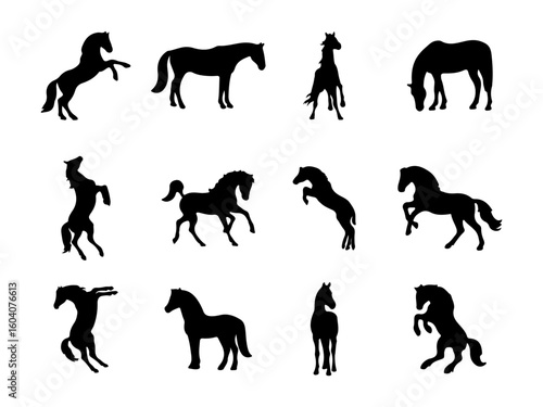 Collection of twelve horse silhouettes in various dynamic poses and actions isolated on white background