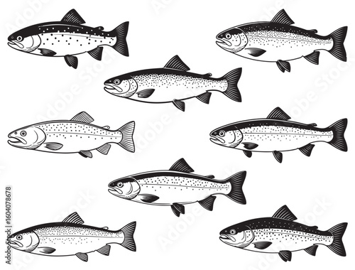 TROUT FISH SILHOUETTE