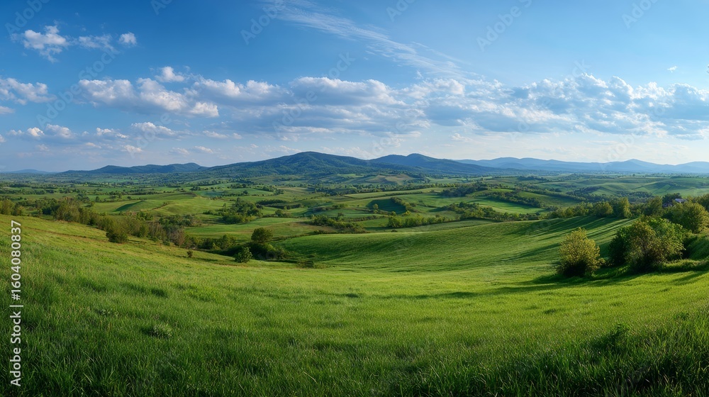 panoramic landscape of green fields for background panoramic landscape of green fields for background