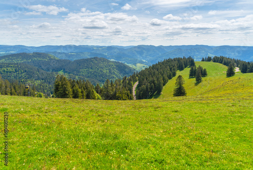 Fototapeta Naklejka Na Ścianę i Meble -  Around Black Forest Belchen