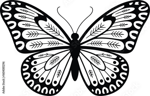 Black and white butterfly with intricate wing patterns