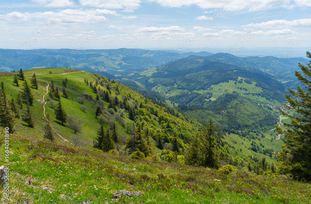 Naklejka premium Around Black Forest Belchen