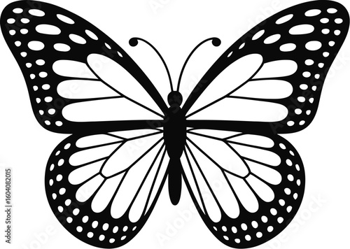 Monarch butterfly wing pattern insect wings